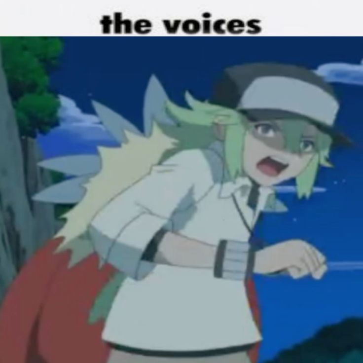 the voices